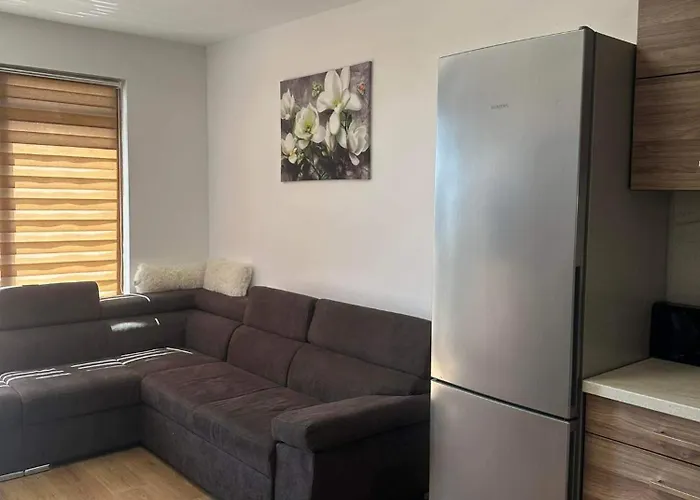 за гости марти гр